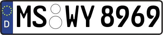 MS-WY8969