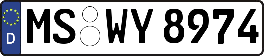 MS-WY8974