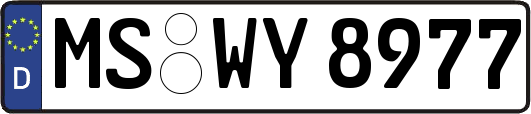 MS-WY8977