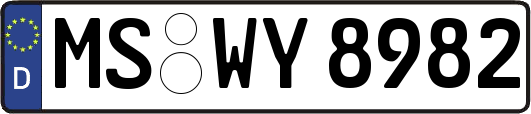 MS-WY8982