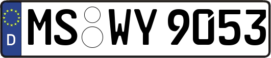 MS-WY9053