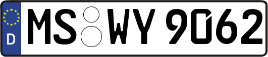 MS-WY9062