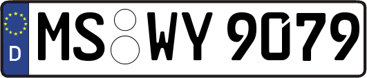 MS-WY9079