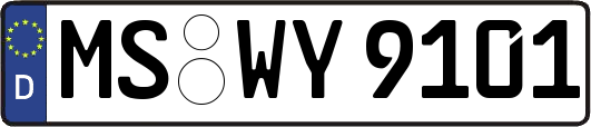 MS-WY9101