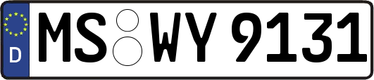 MS-WY9131