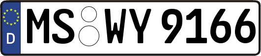 MS-WY9166