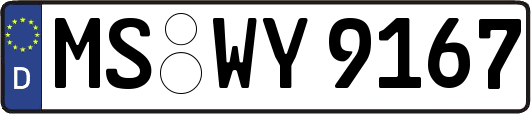 MS-WY9167
