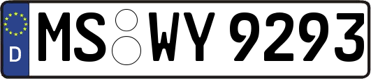 MS-WY9293