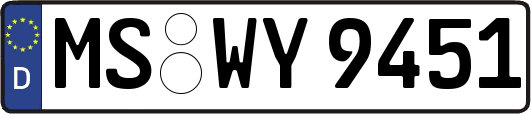 MS-WY9451