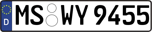 MS-WY9455