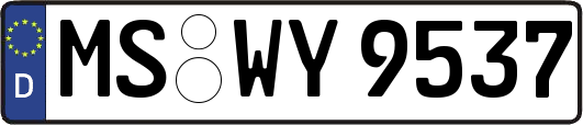 MS-WY9537