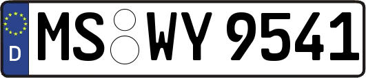 MS-WY9541