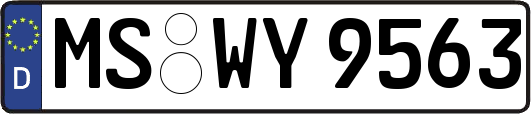 MS-WY9563