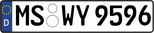 MS-WY9596