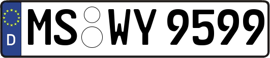 MS-WY9599