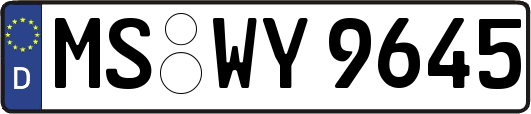 MS-WY9645