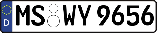 MS-WY9656