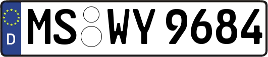 MS-WY9684