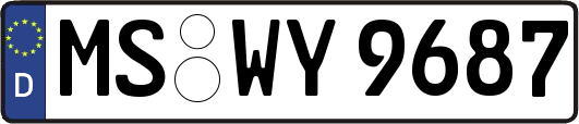 MS-WY9687