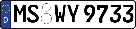 MS-WY9733
