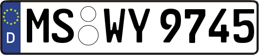 MS-WY9745