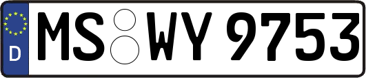 MS-WY9753