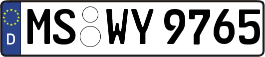 MS-WY9765