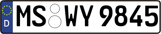 MS-WY9845
