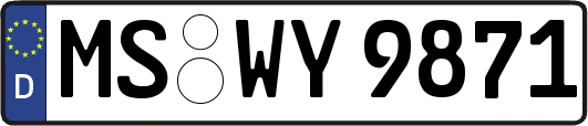MS-WY9871