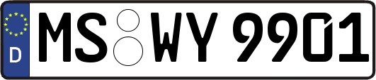 MS-WY9901