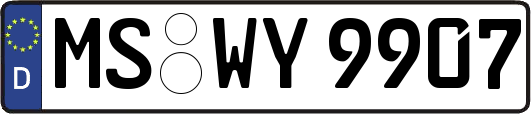 MS-WY9907