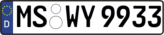 MS-WY9933