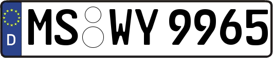 MS-WY9965