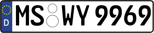 MS-WY9969