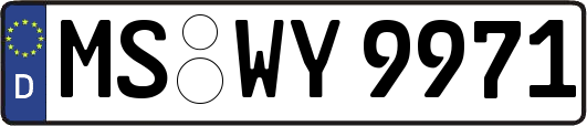 MS-WY9971