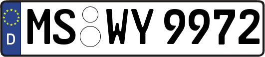 MS-WY9972