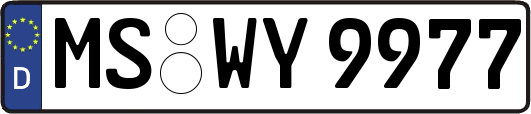 MS-WY9977