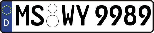 MS-WY9989