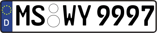 MS-WY9997