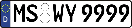 MS-WY9999