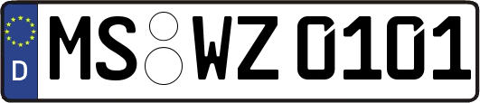MS-WZ0101