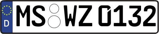 MS-WZ0132