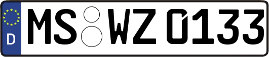 MS-WZ0133