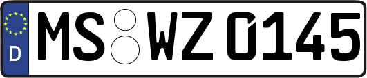 MS-WZ0145
