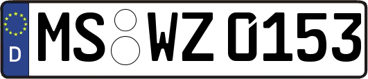 MS-WZ0153