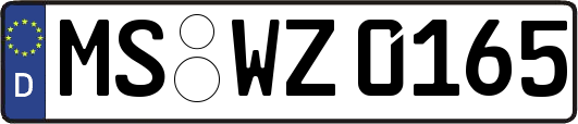 MS-WZ0165