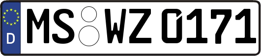 MS-WZ0171