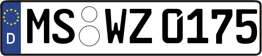 MS-WZ0175
