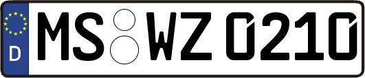 MS-WZ0210