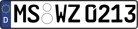 MS-WZ0213